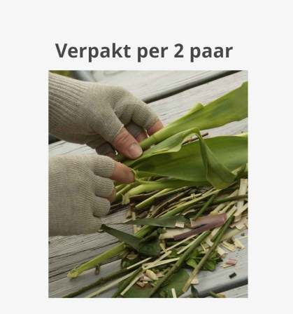 BestSilver Zilver handschoenen